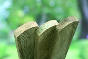 Rounded Top Pickets Tanalised Ex 25x75mm FSC